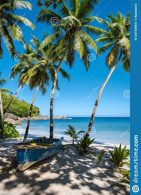 Mahe Seychelles Tropical Beach With Palm Trees And A Blue Ocean At