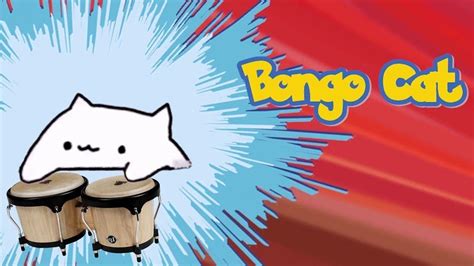 Bongo Cat Wallpapers Wallpaper Cave