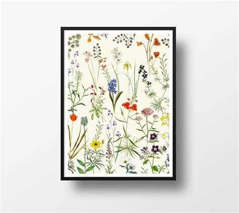 Botanical Floral Vintage Print Art Poster Wall Art Home Etsy