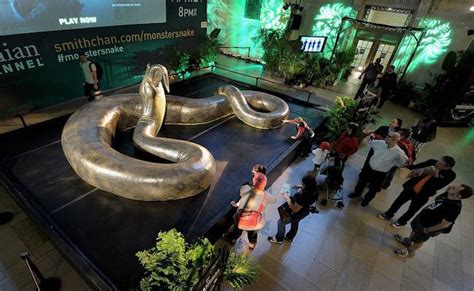 Titanaboa The Fossil Remains Of A Giant Snake Were Discovered In 2009