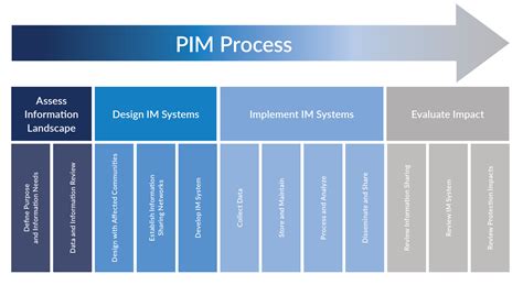 Pim Process Pim Guide