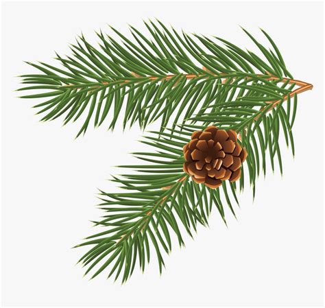Christmas Pinecone Clipart