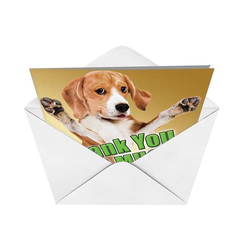 Collection by sloppy kiss cards. This Much Dog: Hysterical Thank You Large Greeting Card