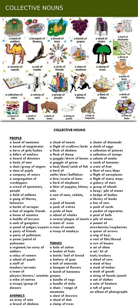 Collective nouns form an essential part of speech in english grammar. Collective Nouns: Group Words for People, Animals and ...