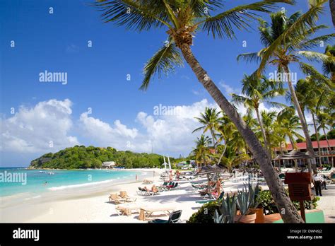 Beach And Palm Trees Long Bay Antigua Leeward Islands West Indies