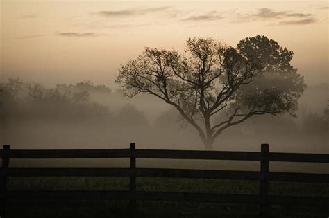 14 1001 122 Foggy Morning Sunrise Photograph By Lee Smoot Fine Art