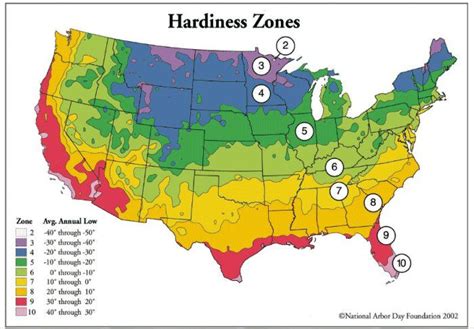 What Zone Are You In Plant Hardiness Zone Map Hardiness Zones Map