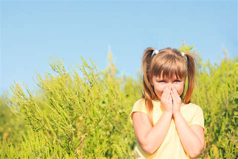 In diesem artikel erfahren sie. NEUE THERAPIE GEGEN RAGWEED-ALLERGIE: Eine Pille gegen ...