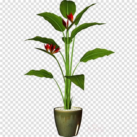 Download Plants Pots Png Clipart Houseplant Flowerpot Clip Art Potted