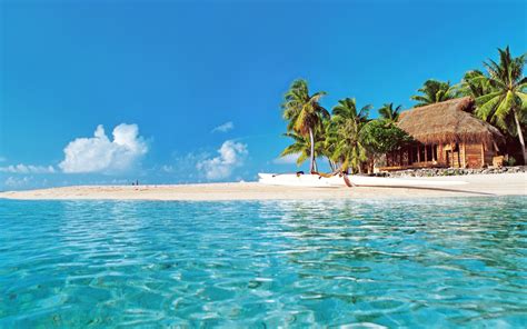 Hut On Tropical Beach Full Hd Wallpaper And Background Image