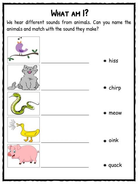 sound facts worksheets  kids types  sounds worksheets