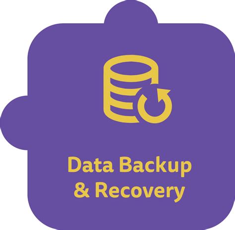 Data Backup And Recovery Guardian Computer