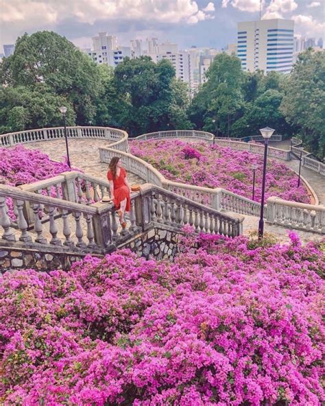 5 Places In Singapore To Get Dreamy And Ethereal Pink Photos