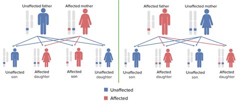 Red Green Color Blindness Inheritance Pattern