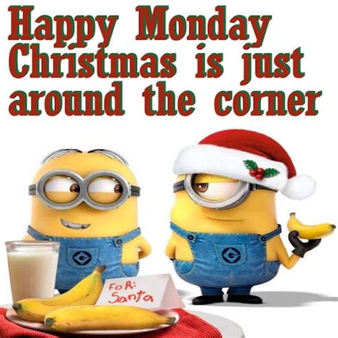 Happy Monday Christmas Minions Pictures Photos And Images For