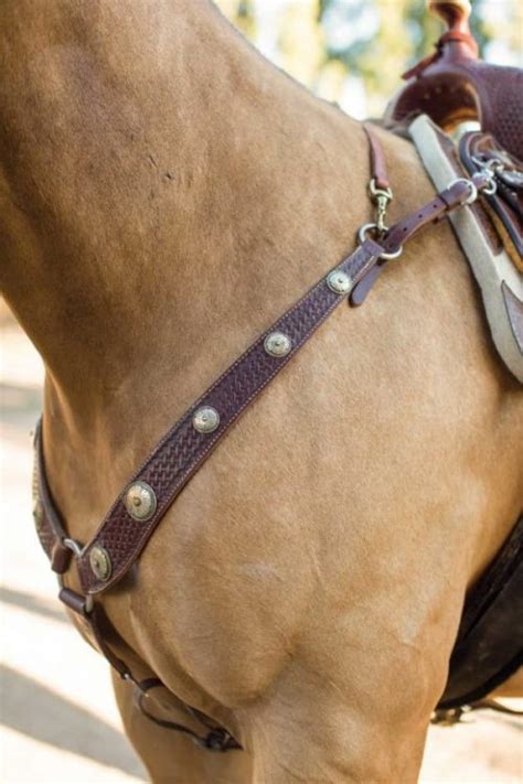 Top 5 Best Horse Wither Straps 2021 Review By Horseislove