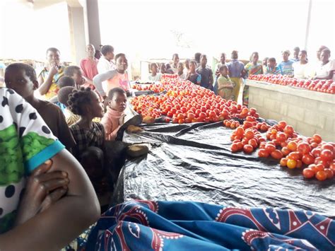 Lgap Constructs K19 Million Market Shed For 40 Zomba Vendors Malawi