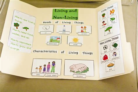 Living And Non Living Things Lapbook And Experiments Kindergarten