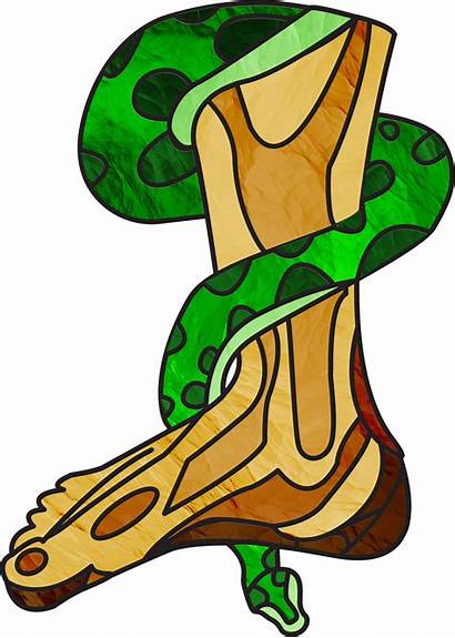 Clipart Snake Crusher Advent Introduction Foot Bible