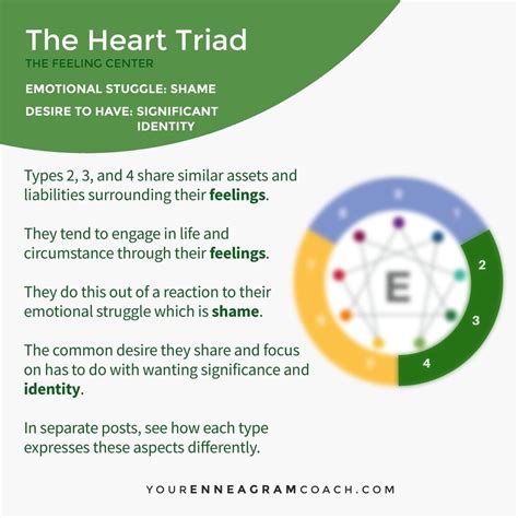 the heart triad contains types 2 3 and 4 they have similar assets and liabilities surrounding