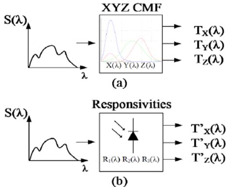 generation of the t x t y t z and t x t y t z stimuli download scientific diagram