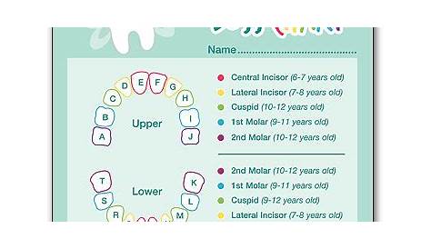 kids tooth loss chart