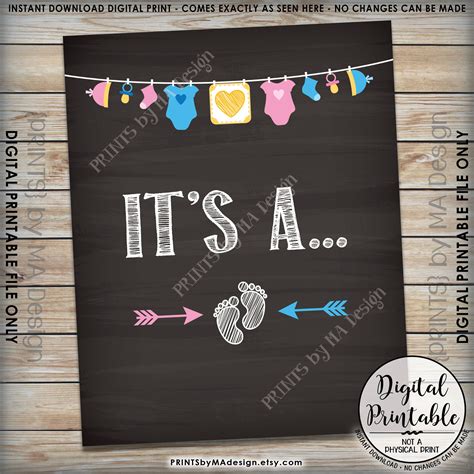Gender Reveal Sign It S A Gender Reveal Party Sign Pink Or Blue Sign He Or She Sign