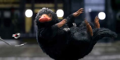 As you may have guessed from the title fantastic beasts and where to find them, j.k. Why Isn't 'Fantastic Beasts' Capitalizing on Its Scene ...