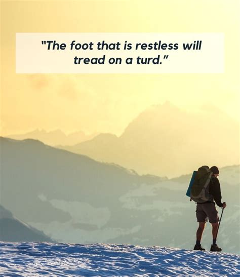 27 Best Hiking Quotes From Inspiring And Outdoorsy Storytellers — The