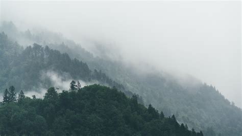 28 Mountains And Forest In Fog Wallpapers Wallpaperboat