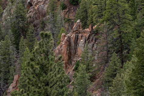 North Cheyenne Canyon Canon Colorado Springs Stock Image Image Of