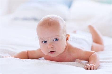 Baby Boy In Diaper Stock Photo Image Of Cover Baby 68361340