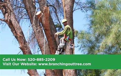 Maybe you would like to learn more about one of these? "Branching Out has provided our tree and shrub service for ...