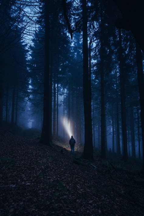 Download Man With Flashlight Dark Forest Wallpaper