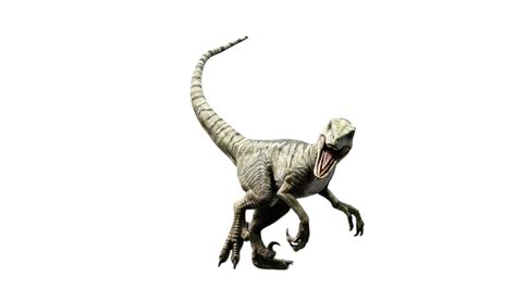Jurassic World Charlie Raptor By Speedcam On Deviantart