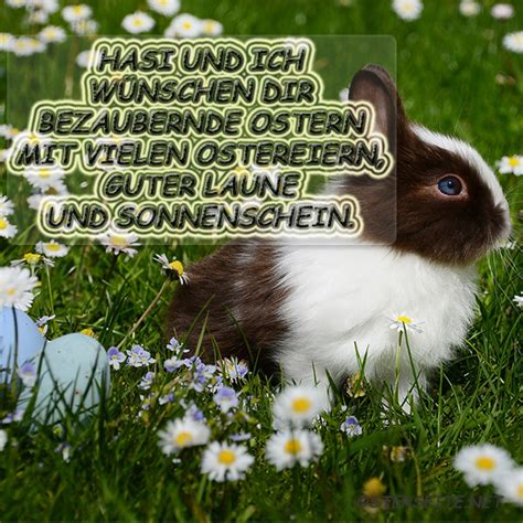 Kostenlos und schnell bilder / logos. Ostergrüße - Bilder für Whatsapp und Email
