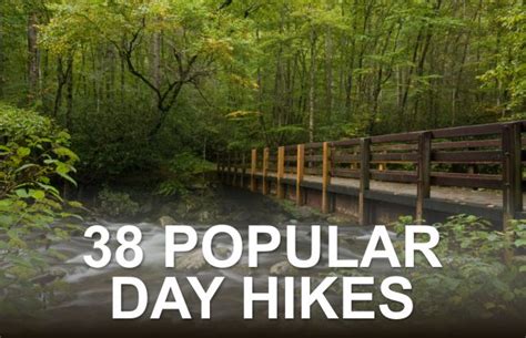 Hiking Great Smoky Mountains National Park Hiking Guide Hiking Tips