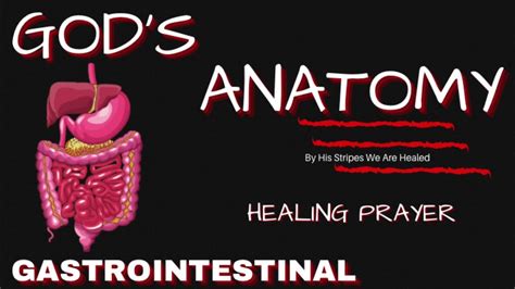 Healing Prayer For Stomach Issues Gods Anatomy Gastrointestinal Youtube