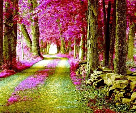 23 Best Forest Pink Images On Pinterest Forest Painting