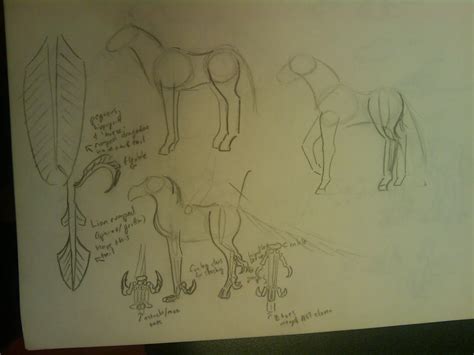 Hippogriff Sketches By Jedi Sheng On Deviantart