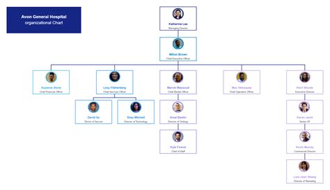 This Hospital Org Chart Template Depicts The Hospital S Hierarchy