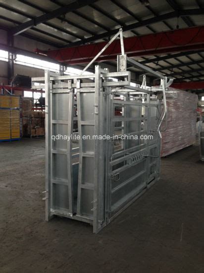 China Livestock Equipment Cattle Squeeze Chute With Weighing Scale