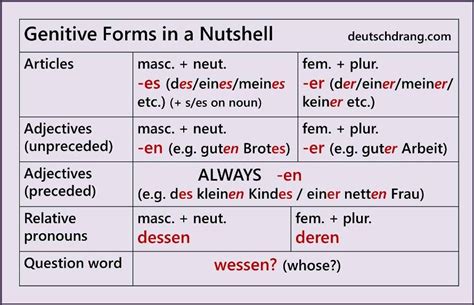 Genitiv Nutshell 2 German Grammar Learn German German Language