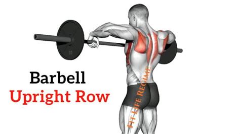Upright Barbell Row How To Do Muscle Worked And Benefits