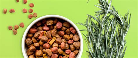 Unfortunately for pet food consumers, most pet each brand. Pet Food Flavors - Rosemary as a Natural Antioxidant Pt. 1 ...