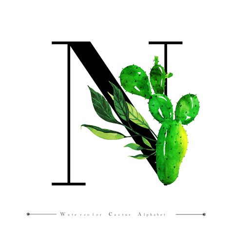Alphabet Letter N With Watercolor Cactus And Leaves 684774 Vector Art