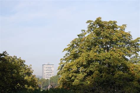 Bbc In Pictures Nottinghams Horse Chestnut Trees At Risk