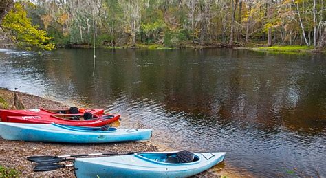 Gainesville Florida Experiences In Nature Springs Wildlife Hiking