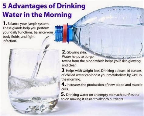 5 Advantages Of Drinking Water In The Morning👌 Musely