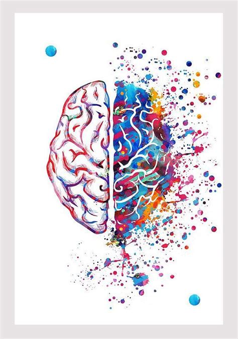 Collection by randy litton • last updated 3 weeks ago. Right Brain Left Brain Watercolor Print Brain Art Poster ...